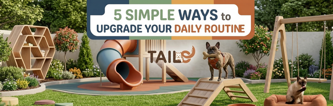 5 Simple Ways to Upgrade Your Pet's Daily Routine